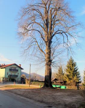 Park pri stari postaji